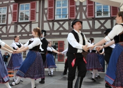 kernpics.de shooting: Donauschwäbische Tanz- und Folkloregruppe Reutlingen | Auftritt beim Landesfest des Schwäbischen Albvereins 2014  | 01. Juni 2014